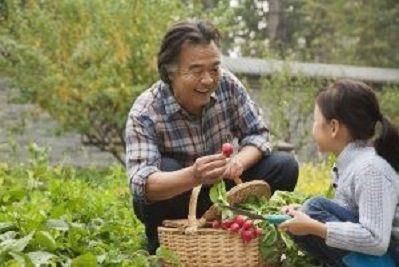 Picking strawberries with grandchild