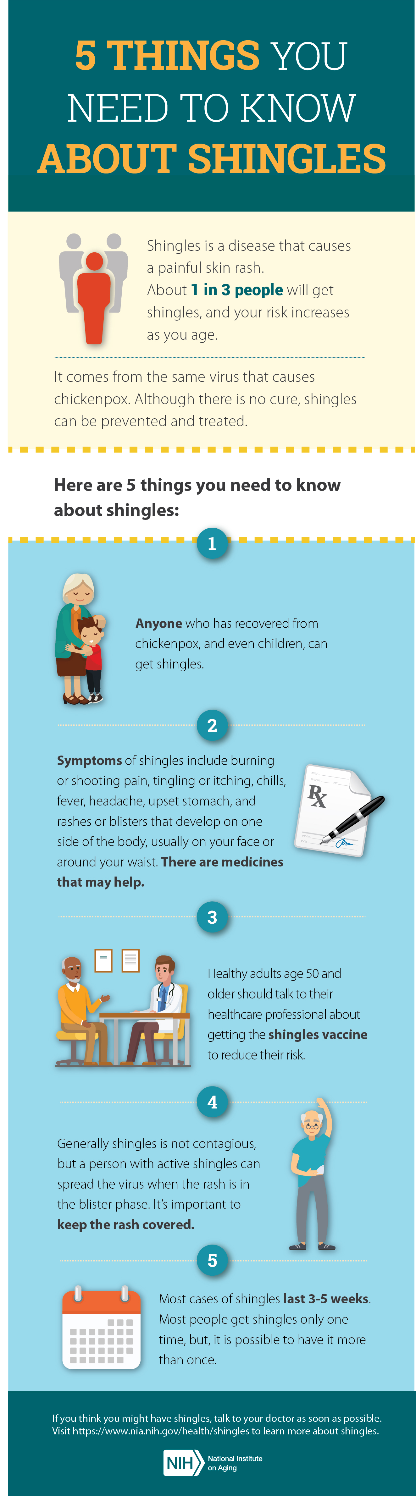 5 things you need to know about shingles Infographic. Full transcript below.