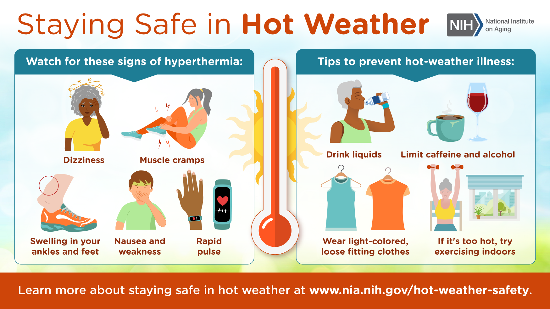 Staying Safe in Hot Weather infographic. Click pdf for full description or see transcript below.