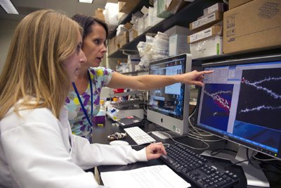 Two scientists examining a scientific image on a screen