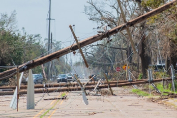 damage to trees and structures after a hurricane.