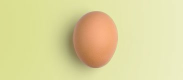 One Egg