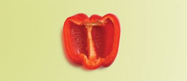 Half of a large (3 x 4-inch) red pepper